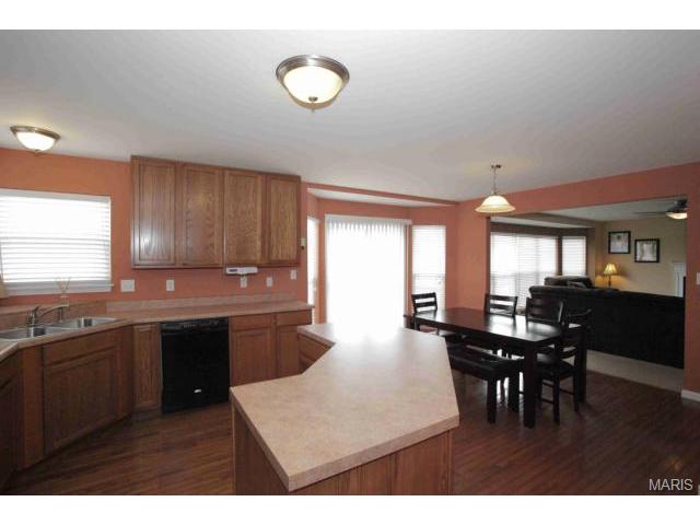 41 Spring Borough Ct, O'fallon, MO 63368 photo 7