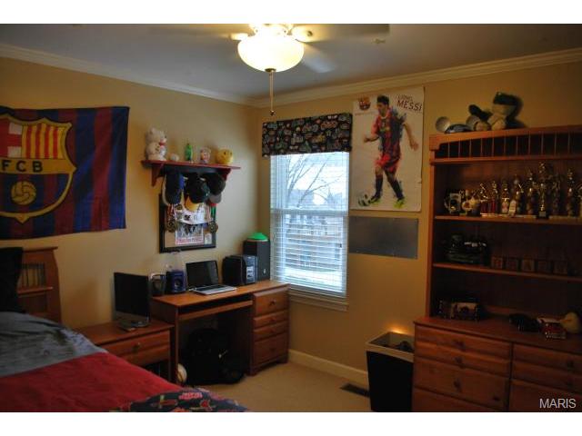 37 Coach Line Dr, O'fallon, MO 63368 photo 14