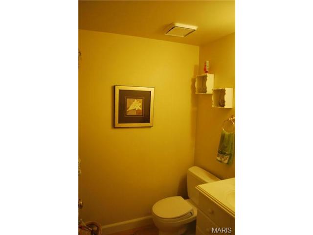 37 Coach Line Dr, O'fallon, MO 63368 photo 12