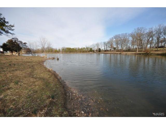 23 Amber Meadows Dr, O'fallon, MO 63366 photo 2