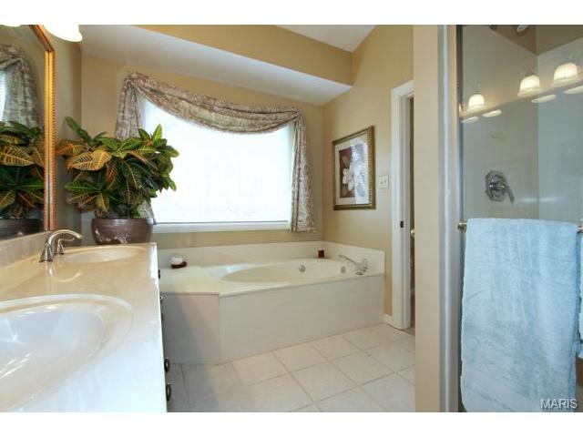 541 Malinmor Dr, Weldon Spring, MO 63304 photo 17