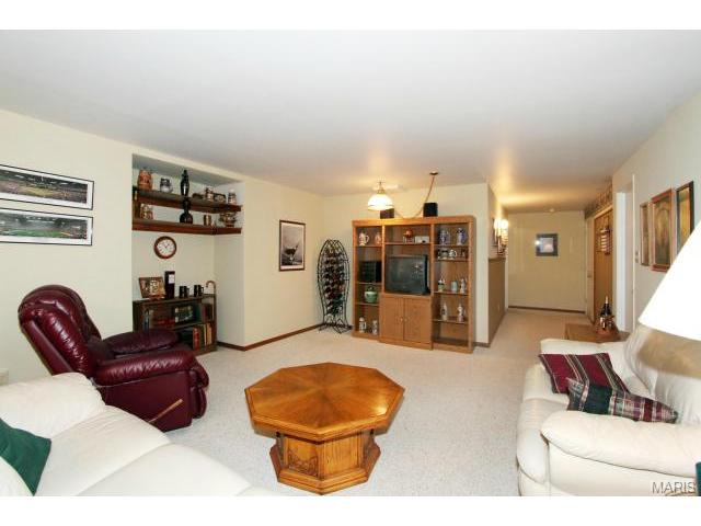 541 Malinmor Dr, Weldon Spring, MO 63304 photo 21