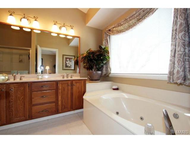 541 Malinmor Dr, Weldon Spring, MO 63304 photo 16