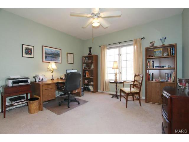 541 Malinmor Dr, Weldon Spring, MO 63304 photo 18