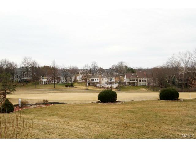 541 Malinmor Dr, Weldon Spring, MO 63304 photo 27