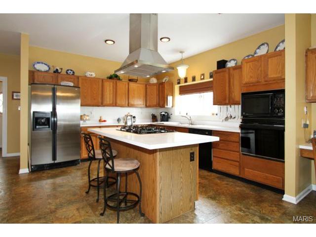 541 Malinmor Dr, Weldon Spring, MO 63304 photo 13