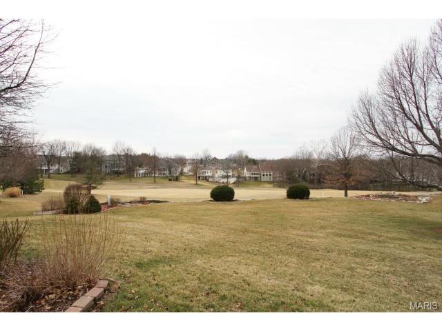 541 Malinmor Dr, Weldon Spring, MO 63304 photo 28