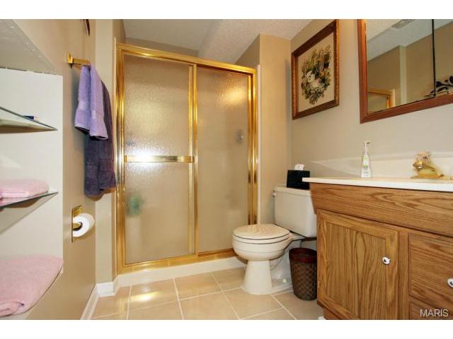 541 Malinmor Dr, Weldon Spring, MO 63304 photo 23