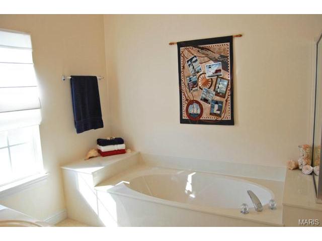 702 Rolling Wind Dr, O'fallon, MO 63368 photo 22