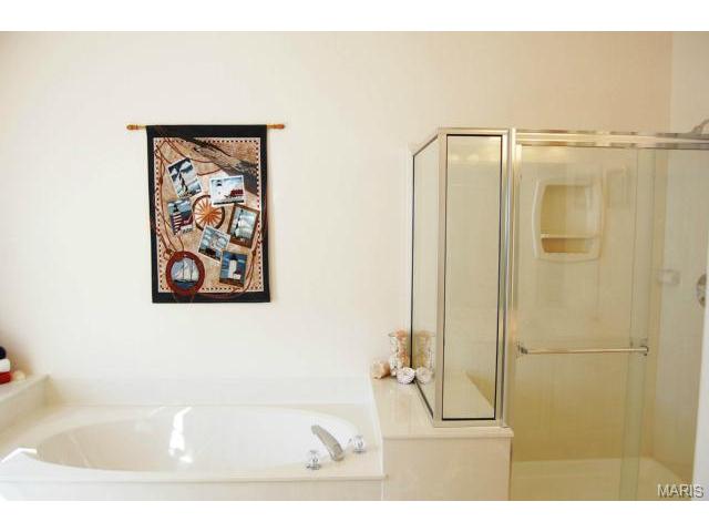 702 Rolling Wind Dr, O'fallon, MO 63368 photo 18