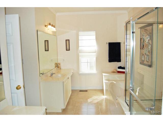 702 Rolling Wind Dr, O'fallon, MO 63368 photo 19