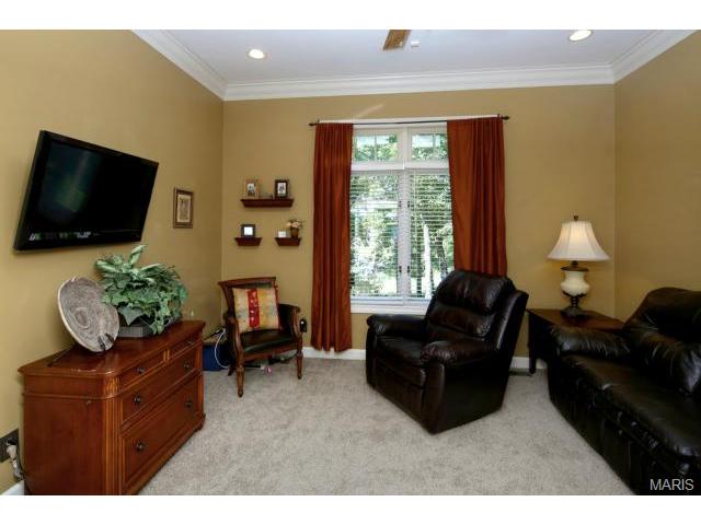 5 Whitmoor Ct, Weldon Spring, MO 63304 photo 26