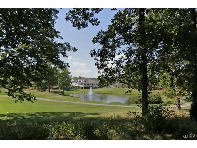 5 Whitmoor Ct, Weldon Spring, MO 63304 photo 29