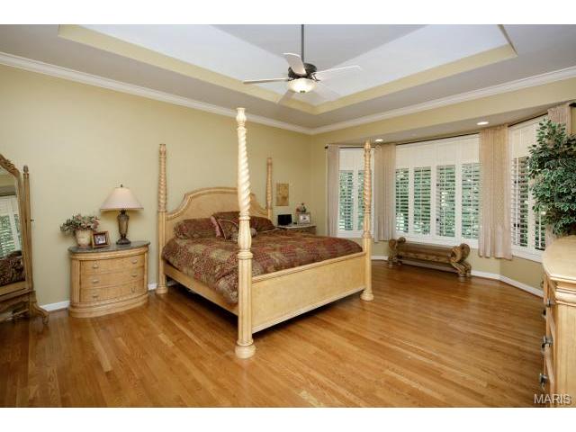 5 Whitmoor Ct, Weldon Spring, MO 63304 photo 5