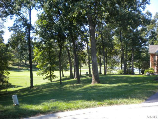 5 Whitmoor Ct, Weldon Spring, MO 63304 photo 30