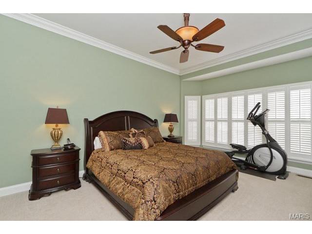 820 Hawk Run Trl, O'fallon, MO 63368 photo 19
