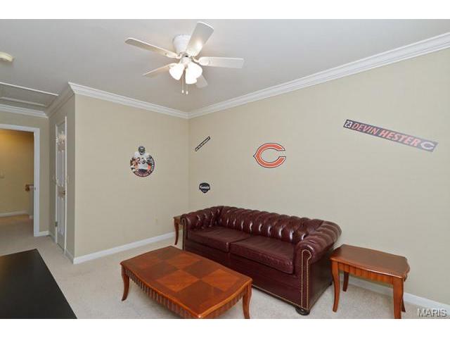 820 Hawk Run Trl, O'fallon, MO 63368 photo 27