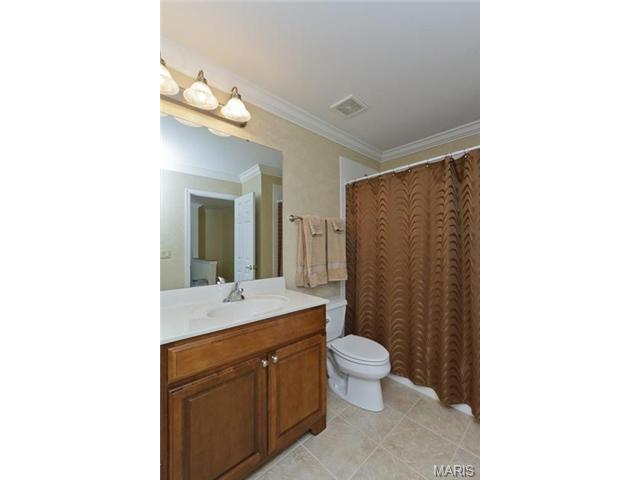 820 Hawk Run Trl, O'fallon, MO 63368 photo 31