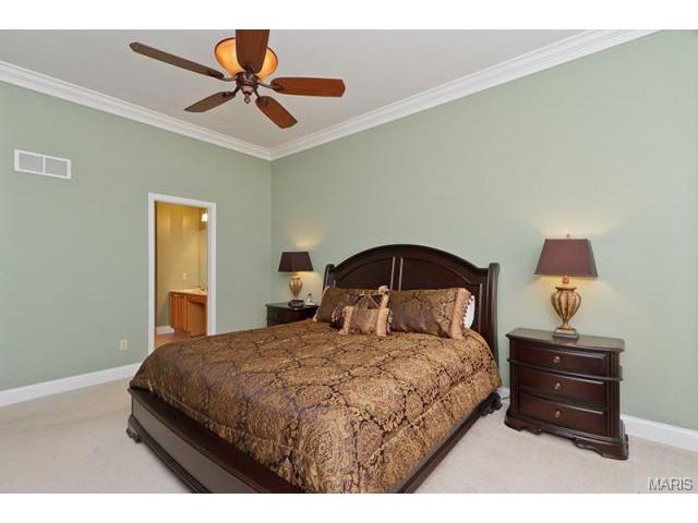 820 Hawk Run Trl, O'fallon, MO 63368 photo 20
