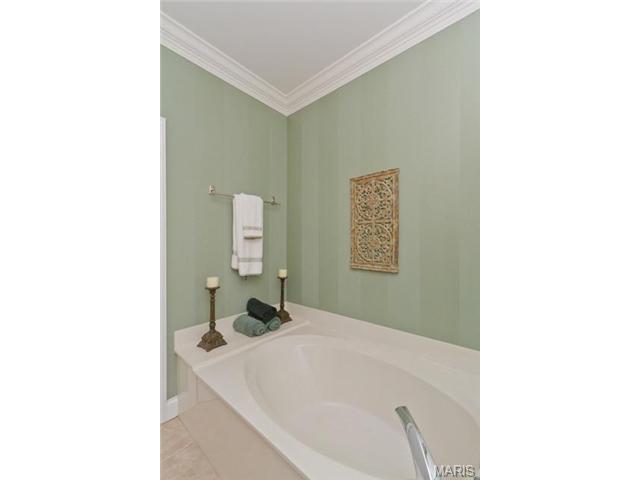 820 Hawk Run Trl, O'fallon, MO 63368 photo 23