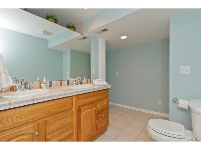 820 Hawk Run Trl, O'fallon, MO 63368 photo 50