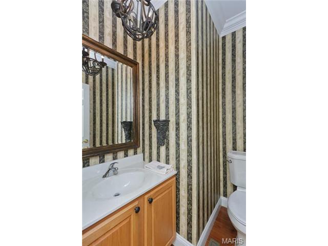 820 Hawk Run Trl, O'fallon, MO 63368 photo 17