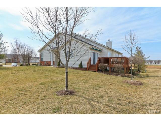 820 Hawk Run Trl, O'fallon, MO 63368 photo 55