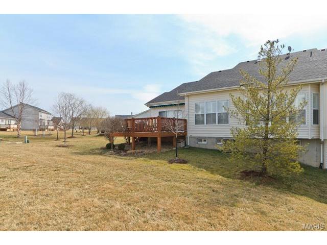 820 Hawk Run Trl, O'fallon, MO 63368 photo 61