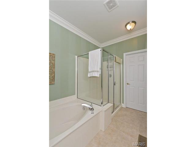 820 Hawk Run Trl, O'fallon, MO 63368 photo 22