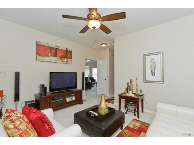 1428 Noyack Dr, O'fallon, MO 63366 photo 28