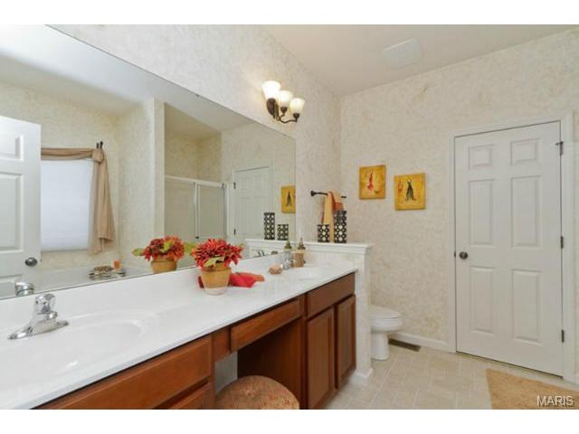 1428 Noyack Dr, O'fallon, MO 63366 photo 21