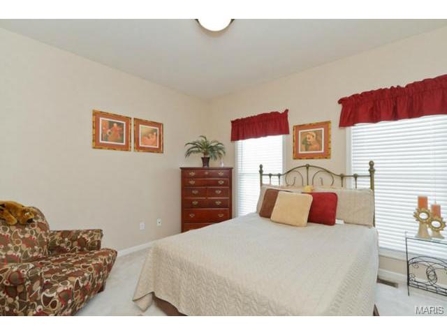 1428 Noyack Dr, O'fallon, MO 63366 photo 30