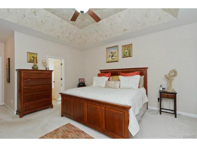 1428 Noyack Dr, O'fallon, MO 63366 photo 20