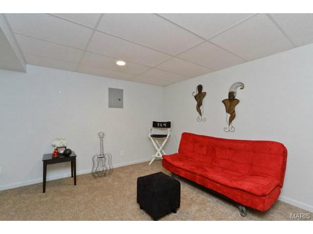 1428 Noyack Dr, O'fallon, MO 63366 photo 44