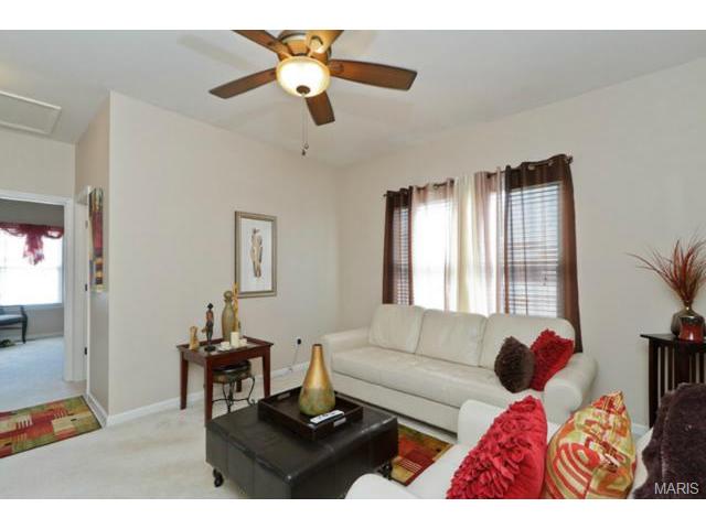1428 Noyack Dr, O'fallon, MO 63366 photo 27