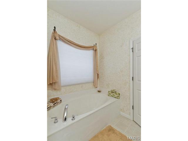 1428 Noyack Dr, O'fallon, MO 63366 photo 22