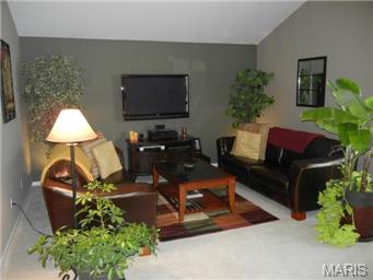 219 Birmingham, O'fallon, MO 63366 photo 5