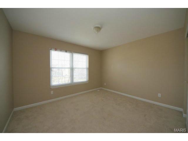 11 Breezy Point Ct, O'fallon, MO 63368 photo 19