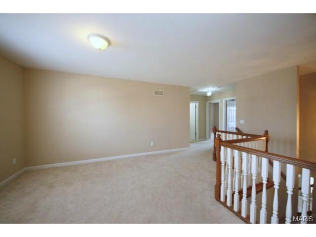 11 Breezy Point Ct, O'fallon, MO 63368 photo 20