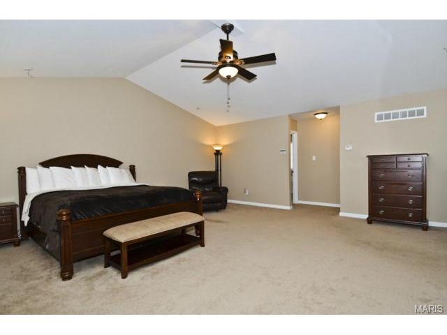 41 Wellington Downs, O'fallon, MO 63368 photo 21