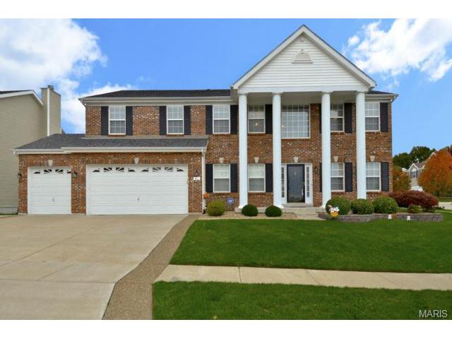41 Wellington Downs, O'fallon, MO 63368 photo 1