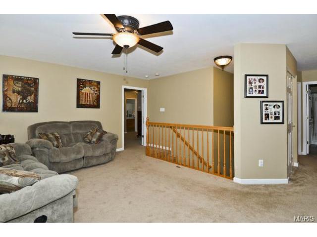 41 Wellington Downs, O'fallon, MO 63368 photo 19