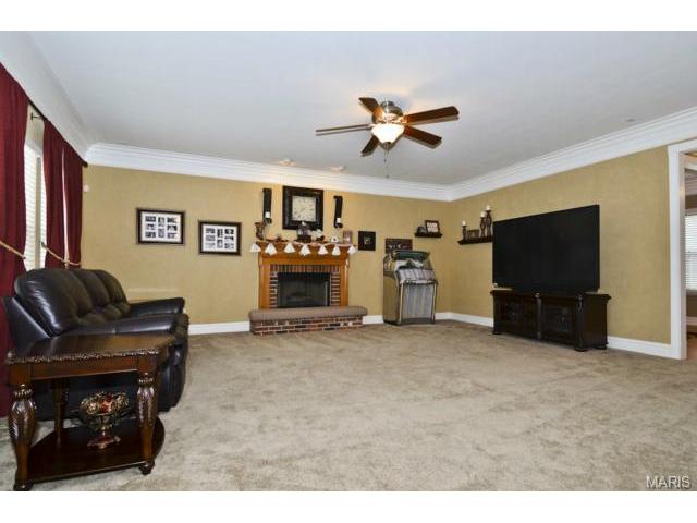 41 Wellington Downs, O'fallon, MO 63368 photo 8