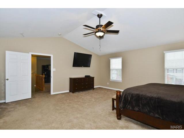 41 Wellington Downs, O'fallon, MO 63368 photo 22