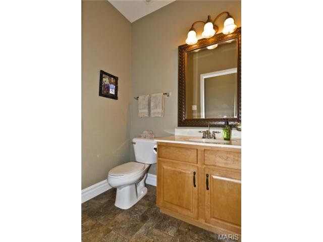 41 Wellington Downs, O'fallon, MO 63368 photo 15