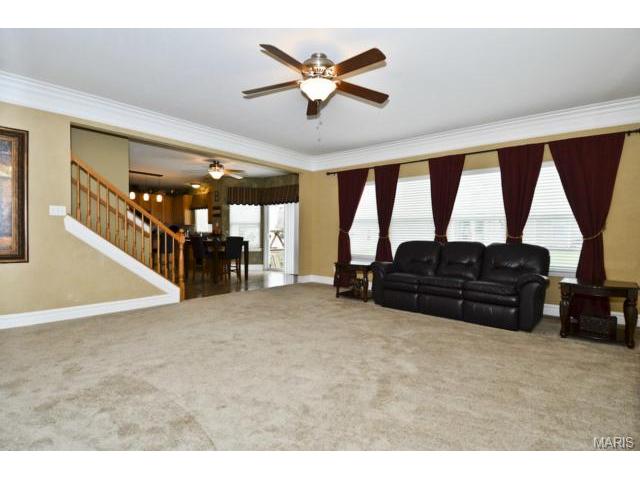 41 Wellington Downs, O'fallon, MO 63368 photo 6
