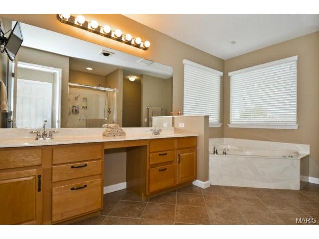 41 Wellington Downs, O'fallon, MO 63368 photo 23