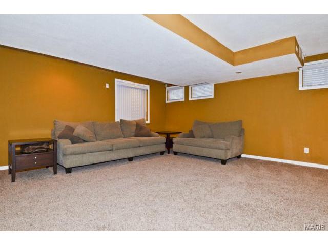 41 Wellington Downs, O'fallon, MO 63368 photo 31