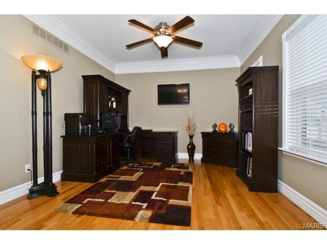 41 Wellington Downs, O'fallon, MO 63368 photo 3