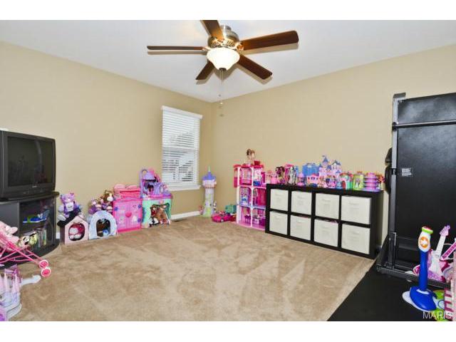 41 Wellington Downs, O'fallon, MO 63368 photo 28